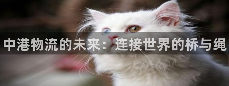 谈球吧咋样
