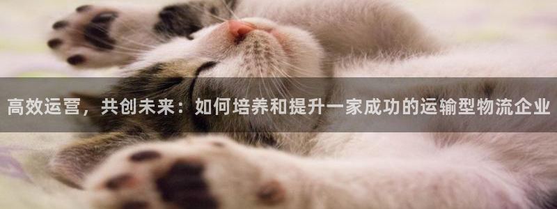 谈球吧app赛事分析报告怎么做