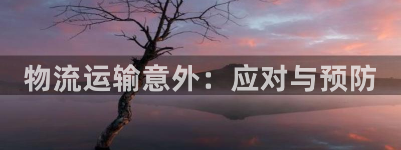 谈球吧官网在线入口免费观看高清版