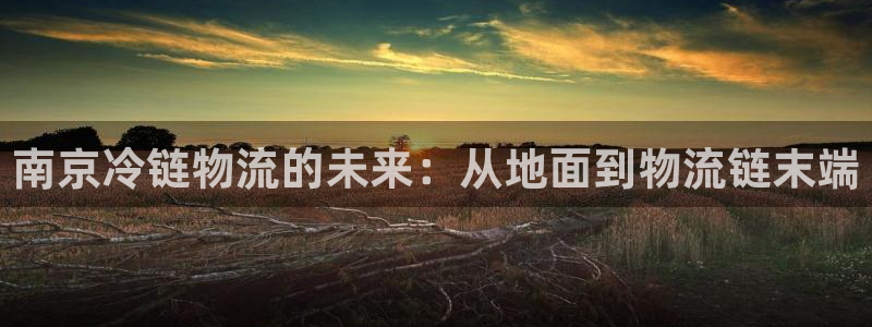 谈球吧app赛事分析报告模板